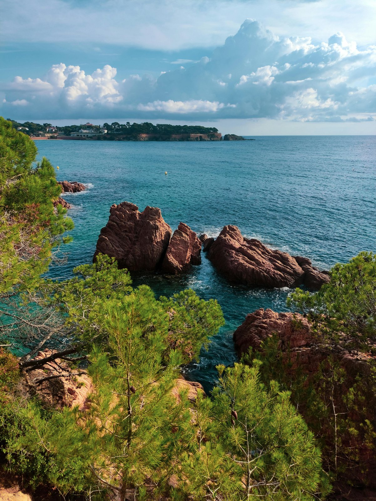 Crique de la Côte d'Azur